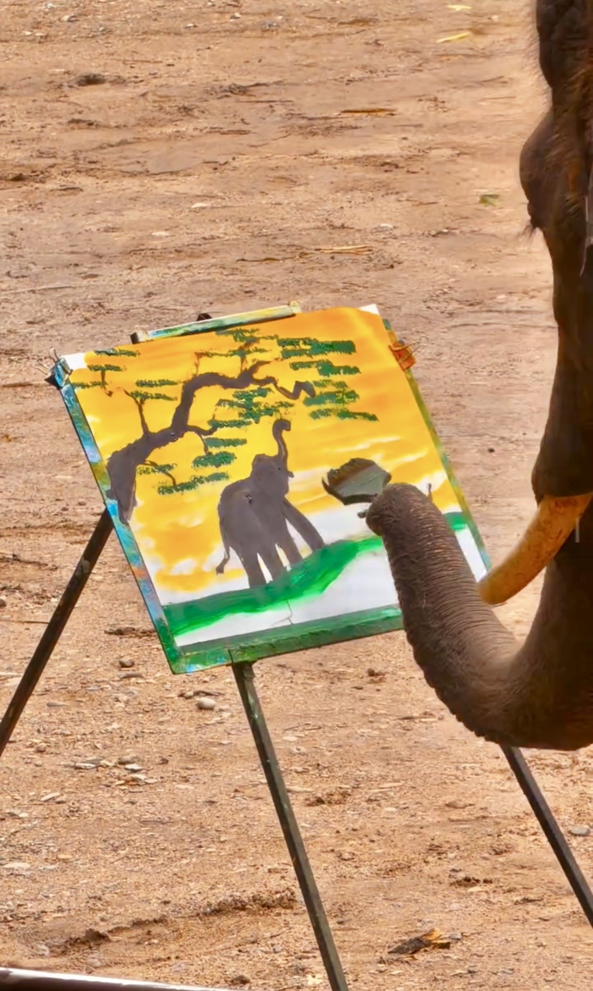 絵描きのゾウ
